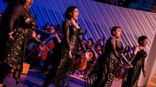 Die Walküre Act III sc i amp ii Highlights [upl. by Weldon]