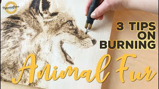 3 TIPS for Wood Burning Animal Fur  Pyrography Shading Skills [upl. by Eicaj]