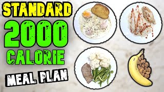 A Standard 2000 Calorie Meal Plan [upl. by Enitsirt]