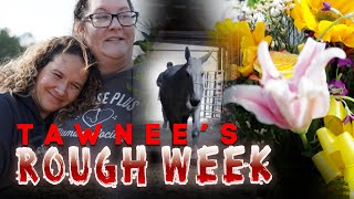 Tawnees Rough Week  Horse Shelter Heroes S3E35 [upl. by Adnal]