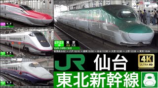 4K  東北新幹線 仙台  はやぶさ こまち やまびこ 発車•到着集 列車情報 付き [upl. by Rudelson]