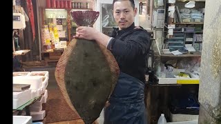 【職人技】100年続く魚屋の特大8kgヒラメザブトン）捌き方・神経締め・神業鱗のすき引きHow to handle big fish [upl. by Sahcnip]