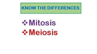 Meiosis Updated [upl. by Merth]