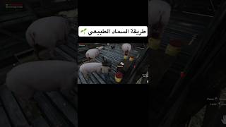 بعنا أول عنب 🍇🤩  محاكي المزارع [upl. by Babb]