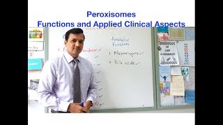 Peroxisomes  Functions and Applied Clinical Aspects [upl. by Airda963]