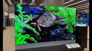 First look Samsungs 110quot microLED TV [upl. by Haras472]