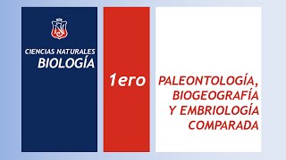 Evidencias de la Evolución Paleontología Biogeografía y Embriología comparada [upl. by Betthel]