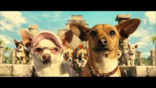 beverly hills chihuaua trailer ita [upl. by Nylahs]