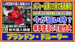 【巨人新外国人候補】ブランドン・ドルーリー内野手！メジャー通算109発の長距離砲、MLBも復活の可能性大と評価する注目選手【12球団新外国人候補2025】 [upl. by Amilb]