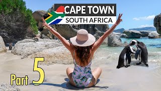 Swimming with Penguins in Cape Town South Africa  Land of African Penguins in Simons Town [upl. by Naerb165]