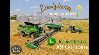 John Deere X9 Combine Harvesting Rice 4K [upl. by Nivlac34]