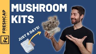 Grow Mushrooms In Just 8 DAYS Mushroom Growing Kit Review anyone can do this at home [upl. by Enuj837]