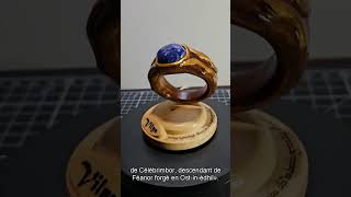 vilya la bague delronde du seigneur des anneaux [upl. by Viccora]