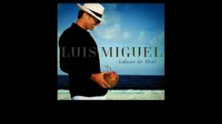 Luis Miguel  Labios de Miel Sencillo Oficial con Letra [upl. by Lucho997]