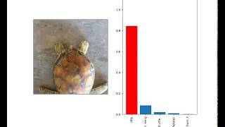 Synthesizing Robust Adversarial Examples Adversarial Turtle [upl. by Ydna]