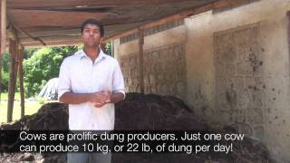 Biogas From Grass to Gas English [upl. by Hayyim]