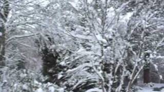 First winter snow in the Hogsback [upl. by Nesyrb]