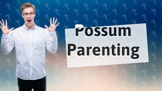 How do possums feed their babies [upl. by Rochemont]