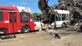 Ex OC Transpo Orion VI at the scrapyard [upl. by Elleron905]