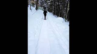 Snowshoeing 01Full HD 1080pmp4 [upl. by Nahtanoy]