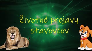 BIOLÓGIA 7 ROČNÍK  Životné prejavy a správanie stavovcov [upl. by Nolyar438]