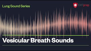 Vesicular Breath Sounds  EMTprepcom [upl. by Necaj395]