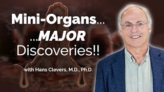 Organoids to Model Human Diseases with Hans Clevers  Sanford Stem Cell Symposium 2023 [upl. by Naimed763]