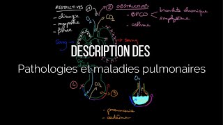 Description des pathologies et maladies pulmonaires [upl. by Tirreg]