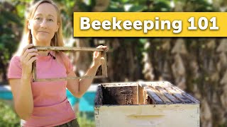 BEEKEEPING 101  How to Keep Bees for the Absolute Beginner Beekeeper [upl. by Milano943]