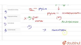 Wuchereria bancrofti belongs to phylum [upl. by Sikram]