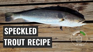 Speckled Trout Recipe Grilled Fish On Weber Kettle [upl. by Dardani]