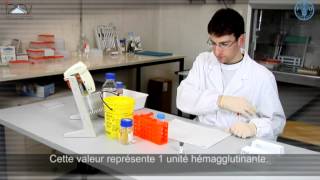 Inhibition de lhémagglutination IHA [upl. by Ronen]