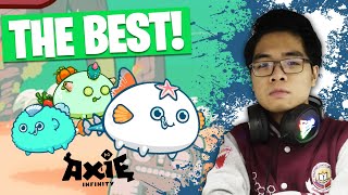 The ULTIMATE Axie Infinity Team for BEGINNERS INSANE DAMAGE [upl. by Selmore994]