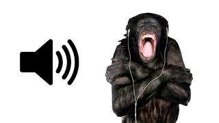 1 HOUR of Monkey Screaming [upl. by Palma]