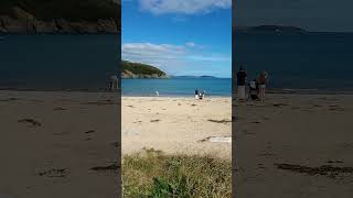 Maenporth Bay beach view nr Falmouth Cornwall England [upl. by Eelreveb]