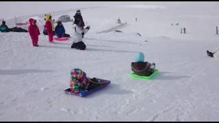 Snowy mountain toboggan snow play [upl. by Persson604]