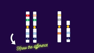 Heterozygous vs Hemizygous genotype alleles homozygous [upl. by Nedrob]