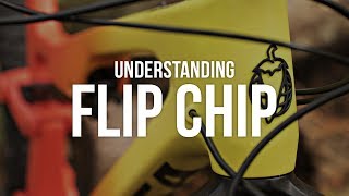 Understanding Flip Chip [upl. by De158]