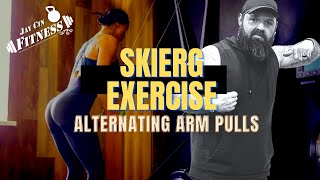 SkiERG Exercise Alternating Arm Pulls Tutorial Workout Fitness Tips [upl. by Case135]