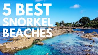 Where to Snorkel on Oahu Hawaii  5 Best Snorkel Spots on Oahu [upl. by Ahsiket]