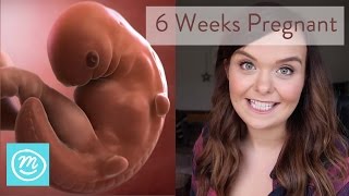 6 Weeks Pregnant What You Need To Know  Channel Mum [upl. by Airbmat]