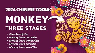 2024 CHINESE ZODIAC  MONKEY SUB [upl. by Atterehs]