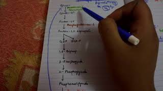 GLUCONEOGENESIS complete EASIEST explanation part 1 [upl. by Iggem455]