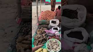 Organic Fresh Vegetables in Devidanga Siliguri [upl. by Shakespeare]