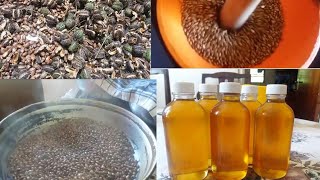 How to Make Castor Oil at Home [upl. by Shermy]