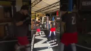 Sparring vs peleador profesional [upl. by Ludeman418]