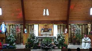 Saturday May 4 6p Mass Vigil of the 6th Sunday 0f Easter [upl. by Giddings]