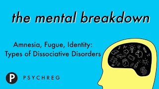 Amnesia Fugue Identity  Types of Dissociative Disorders [upl. by Ylra]