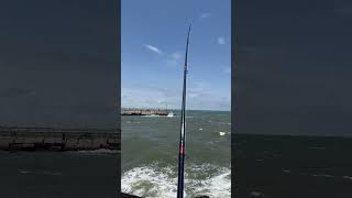 Packery Channel fishing North Padre [upl. by Prissie381]