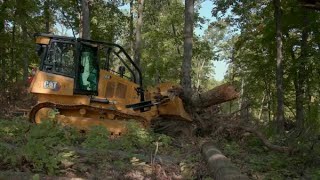 Cat® D4 Dozer Equipped for Forest Maintenance [upl. by Ayomat]